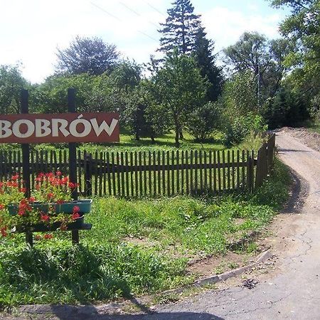 Karpnicka Struga W Dolinie Palacow I Ogrodow Jelenia Góra Extérieur photo