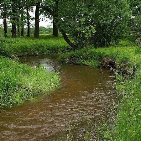 Karpnicka Struga W Dolinie Palacow I Ogrodow Jelenia Góra Extérieur photo