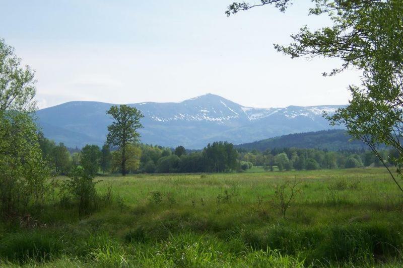Karpnicka Struga W Dolinie Palacow I Ogrodow Jelenia Góra Extérieur photo