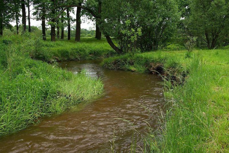 Karpnicka Struga W Dolinie Palacow I Ogrodow Jelenia Góra Extérieur photo